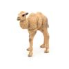 PAPO Wild Animal Kingdom Camel Calf Toy Figure, 3 Years or Above, Beige (50221)