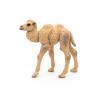 PAPO Wild Animal Kingdom Camel Calf Toy Figure, 3 Years or Above, Beige (50221)