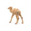 PAPO Wild Animal Kingdom Camel Calf Toy Figure, 3 Years or Above, Beige (50221)