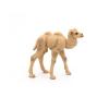 PAPO Wild Animal Kingdom Camel Calf Toy Figure, 3 Years or Above, Beige (50221)