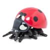 PAPO Wild Life in the Garden Ladybird Toy Figure, 3 Years or Above, Red/Black (50257)