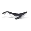 PAPO Marine Life Whale Calf Toy Figure, 3 Years or Above, Black/White (56035)