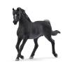 SCHLEICH Horse Club Arab Stallion Toy Figure, 5 to 12 Years, Black (13981)