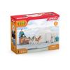 SCHLEICH Wild Life Antarctic Expedition Toy Playset, 3 to 8 Years, Multi-colour (42558)