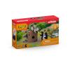 SCHLEICH Wild Life Nutty Mischief Toy Playset, 3 to 8 Years, Multi-colour (42596)