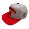 WIZARDING WORLD Harry Potter College Gryffindor Snapback Baseball Cap, Grey/Red (HAR01602SBCOS)