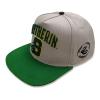 WIZARDING WORLD Harry Potter College Slytherin Snapback Baseball Cap, Grey/Green (HAR01603SBCOS)