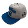 WIZARDING WORLD Harry Potter College Ravenclaw Snapback Baseball Cap, Grey/Blue (HAR01604SBCOS)