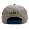WIZARDING WORLD Harry Potter College Ravenclaw Snapback Baseball Cap, Grey/Blue (HAR01604SBCOS)