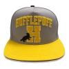 WIZARDING WORLD Harry Potter College Hufflepuff Snapback Baseball Cap, Grey/Yellow (HAR01605SBCOS)