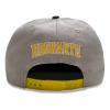 WIZARDING WORLD Harry Potter College Hufflepuff Snapback Baseball Cap, Grey/Yellow (HAR01605SBCOS)
