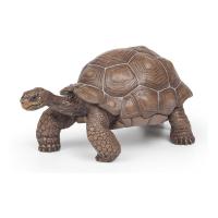 PAPO Wild Animal Kingdom Galapagos Tortoise Toy Figure, Three Years or Above, Green (50161)