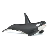 PAPO Marine Life Killer Whale Toy Figure, Three Years or Above, Black/White (56000)