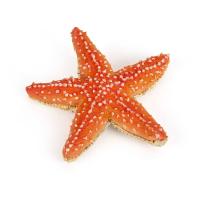 PAPO Marine Life Starfish Toy Figure, 3 Years or Above, Orange (56050)