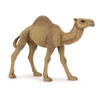 PAPO Wild Animal Kingdom Dromedary Toy Figure, 3 Years or Above, Brown (50151)