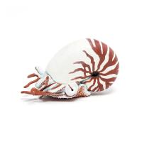 PAPO Marine Life Nautilus Toy Figure, Three Years and Above, White/Red (56061)
