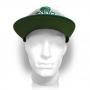 GUINNESS Dublin Shamrock 1759 Snapback Baseball Cap, Grey/Green (SB07JEGNS)