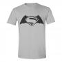 DC COMICS Batman vs Superman: Dawn of Justice Logo T-Shirt, Male, Extra Large, Grey (GL06BVS-XL)