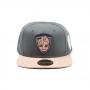 MARVEL COMICS Guardians of the Galaxy Vol. 2 Groot Character Snapback Baseball Cap, Dark Grey/Cork (SB012203GOG)