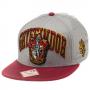HARRY POTTER Gryffindor House Crest Snapback Baseball Cap, One Size, Multi-colour (SB0SOOHPT)