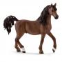 SCHLEICH Horse Club Arab Stallion Horse Toy Figure (13811)