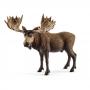 SCHLEICH Wild Life Moose Bull Toy Figure, 3 to 8 Years (14781)
