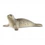 SCHLEICH Wild Life Seal Toy Figure, 3 to 8 Years (14801)