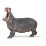 PAPO Wild Animal Kingdom Hippopotamus Toy Figure, Three Years or Above, Grey (50051)