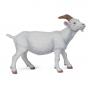 PAPO Farmyard Friends White Nanny Goat Toy Figure, Three Years or Above, White (51144)