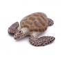 PAPO Marine Life Loggerhead Turtle Toy Figure, Three Years or Above, Multi-colour (56005)