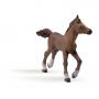 PAPO Horse and Ponies Anglo-Arab Foal Toy Figure, Three Years or Above, Brown (51076)