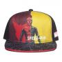 MARVEL COMICS Spider-man: No Way Home Two Tone Graphic Figure Print with Logo and Web Brim Kid's Snapback Baseball Cap, Boy, Multi-colour (SB625423SPN)