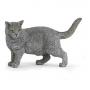 PAPO Dog and Cat Companions Chartreux Toy Figure, Three Years or Above, Grey (54040)