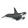 PAPO Marine Life Killer Whale Toy Figure, Three Years or Above, Black/White (56000)