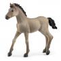 SCHLEICH Horse Club Criollo Definitivo Foal Toy Figure, 5 to 12 Years, Brown (13949)