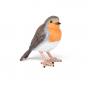 PAPO Wild Animal Kingdom Robin Toy Figure, 3 Years or Above, Multi-colour (50275)