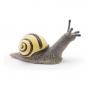 PAPO Wild Animal Kingdom Grove Snail Toy Figure, 3 Years or Above, Multi-colour (50285)