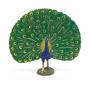 PAPO Farmyard Friends Peacock Toy Figure, 3 Years or Above, Multi-colour (51161)