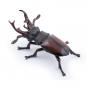 PAPO Wild Animal Kingdom Stag Beetle Toy Figure, 3 Years or Above, Black/Red (50281)