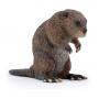 PAPO Wild Animal Kingdom Beaver Toy Figure, 3 Years or Above, Brown (50110)
