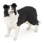 PAPO Dog and Cat Companions Border Collie Toy Figure, 10 Months or Above, Black/White (54008)