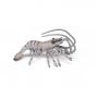 PAPO Marine Life Shrimp Toy Figure, 3 Years or Above, Multi-colour (56053)
