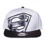 DC COMICS Superman Graffiti Logo Snapback Baseball Cap (SB683834SPM)