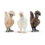 SCHLEICH Farm World Chicken Friends Toy Figure Set, 3 to 8 Years, Multi-colour (42574)