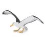 PAPO Marine Life Albatross Toy Figure, 3 Years or Above, White/Grey (56038)