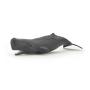 PAPO Marine Life Sperm Whale Calf Toy Figure, 3 Years or Above, Grey (56045)