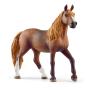 SCHLEICH Horse Club Peruvian Paso Mare Toy Figure, 5 to 12 Years, Brown (13953)