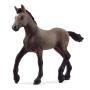 SCHLEICH Horse Club Peruvian Paso Foal Toy Figure, 5 to 12 Years, Brown (13954)