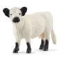 SCHLEICH Farm World Galloway Cow Toy Figure, 3 to 8 Years, White/Black (13960)