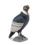 PAPO Wild Animal Kingdom Condor Toy Figure, Three Years and Above, Black (50293)